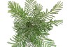SILK ALBIZIA JULIBRISSIN UMBRELLA PLANT GREEN 97CM ]